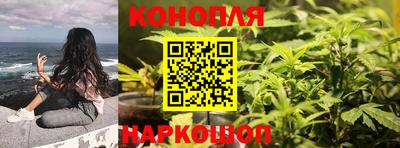 spice Краснознаменск
