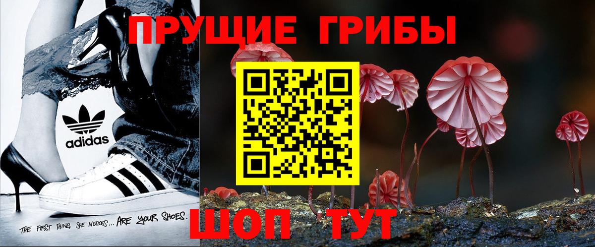 Елабуга  Псилоцибиновые грибы мухоморы  Вход с VPN 