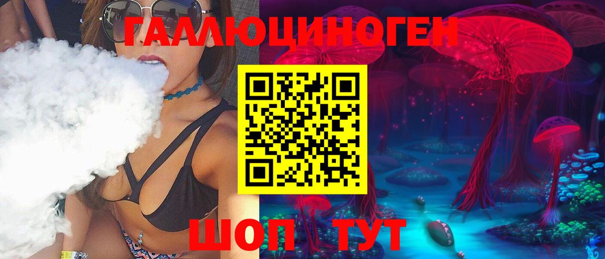 Галлюциногенные грибы Psilocybe Елабуга