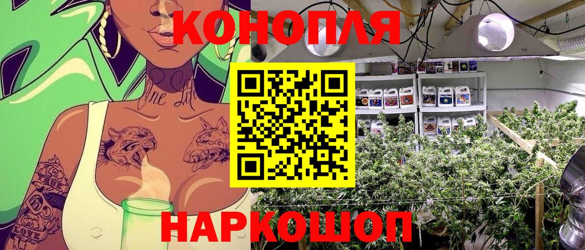 Марихуана OG Kush Елабуга